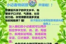 华文小记者营！轻松学华文的快乐营！我们也有舞蹈班和模特儿班！