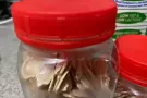 西洋参