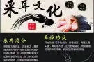 民间传承技艺 采耳养生疗法