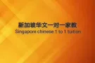 新加坡中小学华文一对一补习
