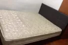 公寓普通房出租