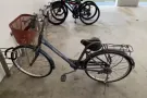 永久牌脚车