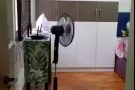 盛港主人房出租