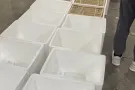 江苏精品挑膏大闸蟹发货新加坡啦，诚征代理以及爱好品蟹的食客
