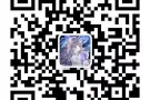 正规中介公司，办理新加坡工作，guo123457895