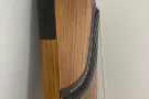 Guzheng 古筝家教