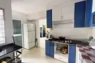 巴西立 洛阳工业女搭房