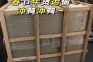 中国到新加坡集运