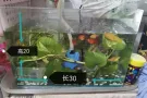 闲置二手物品