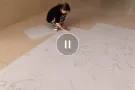 120 片漂亮大块地板革出售