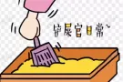 全岛遛狗 铲屎官日常 喂猫 喂鱼喂宠物 解决铲屎官出国或长时间不在SG的烦恼
