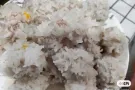 做饭阿姨找工作