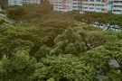 勿洛北路大牌115  4房式组屋出售