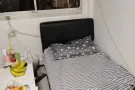 四美招男两个房客