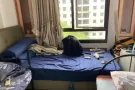 男床位