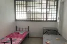 卡迪招女搭房 可报地址