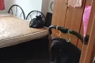2人间招一男搭房
