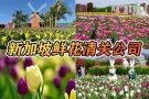 云南鲜花空运冷藏运输新加坡,新加坡鲜花清关需要什么资料