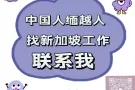 新加坡劳务，一对一专业指导配单，不成功全额退费vx:w85567288