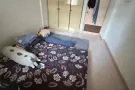 主人房出租