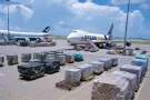 中国🇨🇳至新马泰专线海运空运冷链运输