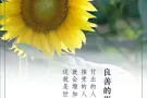 寻找聊天女伙伴