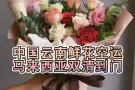 云南鲜花空运马来西亚,马来西亚鲜花进口需要什么资料