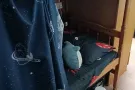如切路有女床位出租