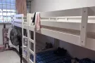 义顺大牌366普通房出租，可报本屋地址