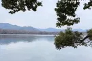准备回国的让你有钱赚带回家