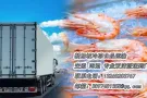冷链运输，美味直达新加坡