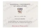 国大博士后高效补习：O水准，A水准，IGCSE，IB（英数理化生）