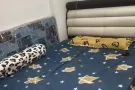 勿洛南