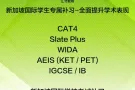 新加坡国际学校学生专属补习——全面提升学术表现，助力未来成长！