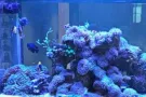 鱼池鱼缸维护维修设计