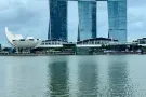 付费找女