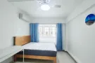 25 分钟到乌节路，漂亮大普通房出租