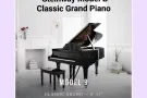 三脚钢琴 Steinway B Classic Grand Piano