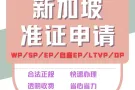 申请准证wp/sp/ep/ltvp 300新币 起