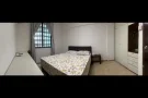 绿线 中峇鲁绿线