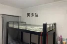 淡滨尼女搭房和男搭房出租