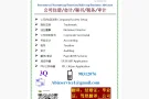 $550 成立公司 / 秘书服务 / 会计记账 / SP EP WP 申请 / 翻译