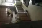 后港三道大牌242致电9715 1537