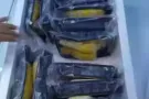 新加坡注册公司长期提供马来西亚榴莲