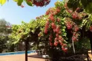 ‼️东海岸Siglap，别墅式豪华公寓，大主人房，低价出租，拎包入住