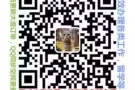 新加坡劳务，收费低，单子真实可靠，QQ2608694056