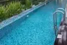 全岛房屋出租