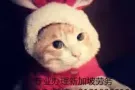 女文员好单子 招聘微信3131008010