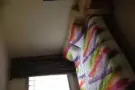 珍珠坊单间出租$800