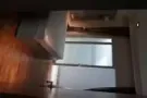Bukit Timah精美洋房，单间出租，内设独立卫生间,可小煮，外有花园和泳池